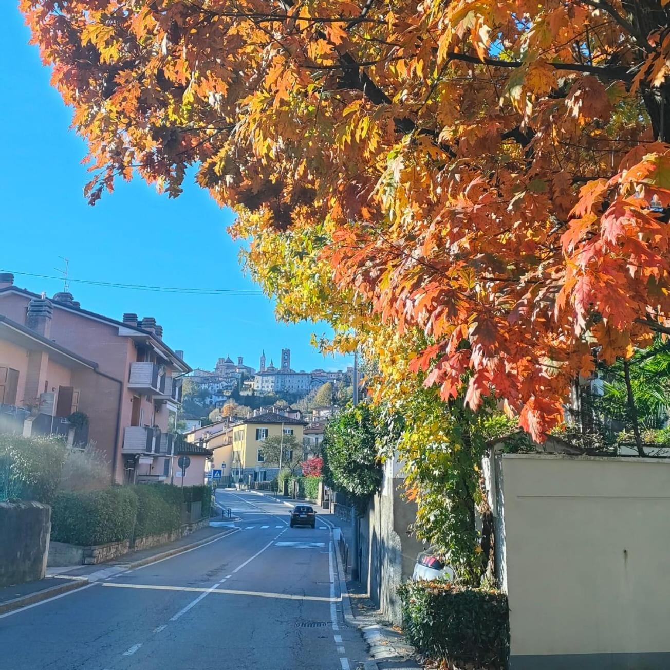 Nelly Bergamo Apartments Eksteriør billede